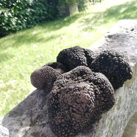Penzion Gold Istra Sečovlje